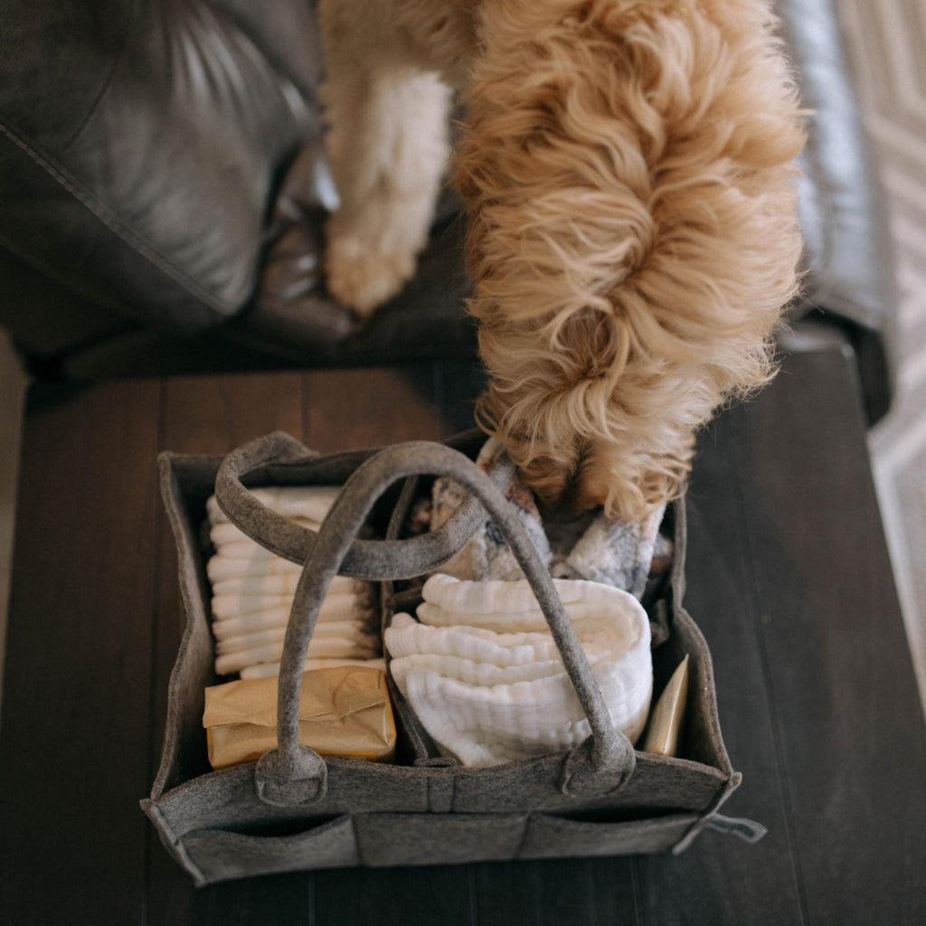 Felt Diaper Caddy Organizer | Portable Nursery Caddy Trusted by 14,000+ Moms